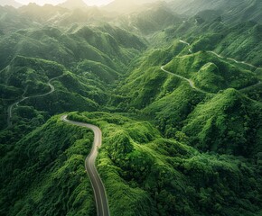 Winding road in lush green valley