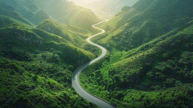 Aerial view of winding road in the mountains