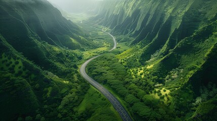Aerial view of winding road in mountain terrain - Powered by Adobe