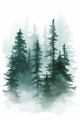 Trees in the fog