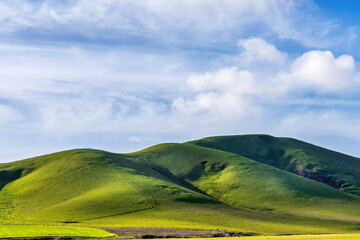 Rolling green hills of grass in the country