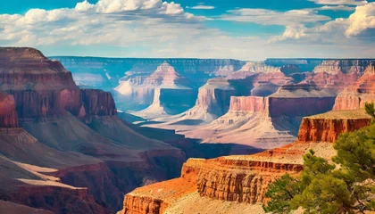 Deurstickers illustration of a beautiful view of the canyon usa © Michelle