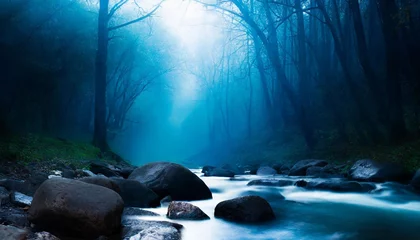Foto op Plexiglas anti-reflex dark fantasy forest river in the forest with stones on the shore moonlight night forest landscape smoke smog fog bridge over river fantasy landscape 3d illustration © Michelle