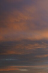Pinky sunset sky with pink clouds. Beautiful sky.