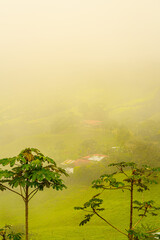 A misty tropical landscape engulfs rural houses among lush greenery, conveying a serene, ethereal morning in the countryside. High quality photo. Uvita, Puntarenas Province, Costa Rica