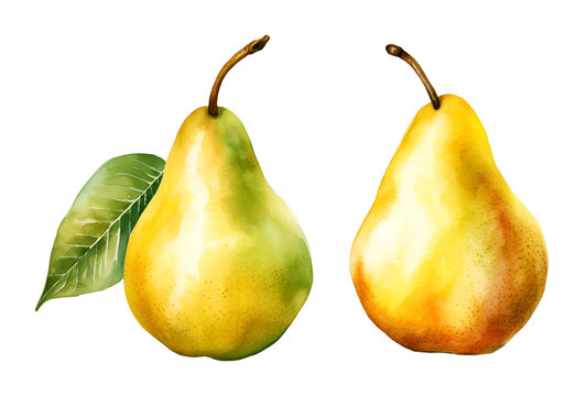 Pear, watercolor clipart illustration with isolated background.