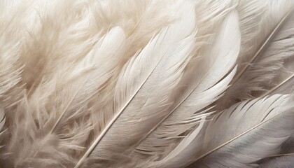 dense background of white feathers close up texture of white swan feather or angel wing flat lay bird plumage copy space high resolution generative ai human enhanced