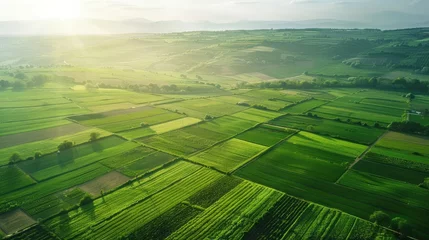  Aerial view of a rural landscape with green fields and plants and agricultural farm land of natural background © buraratn