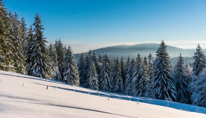 snowy forest landscape on a mountainside during winter in germany