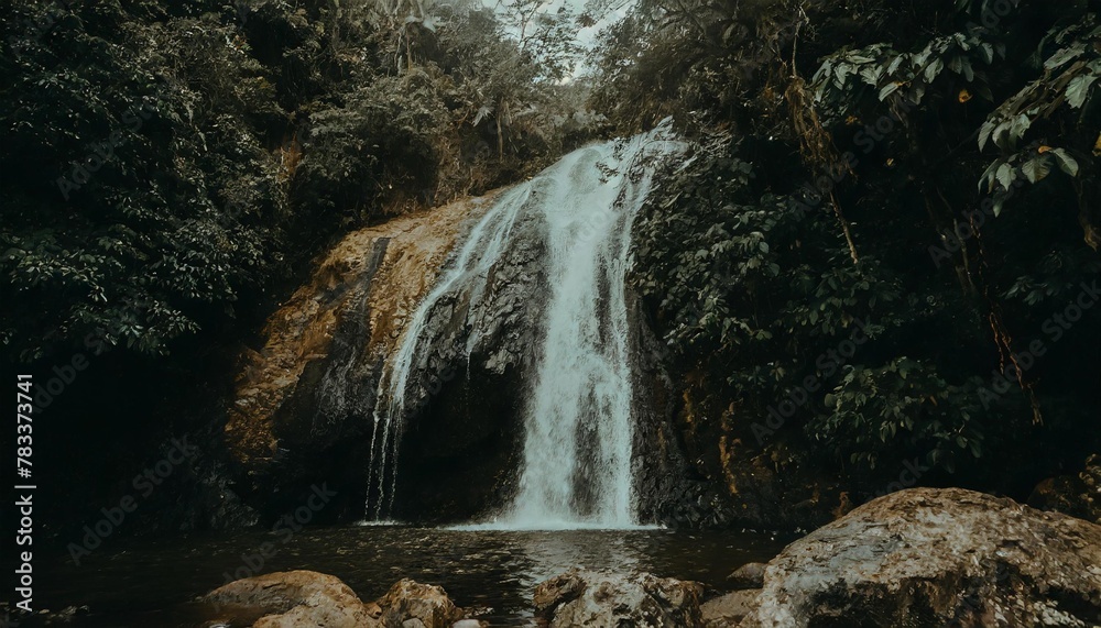 Wall mural a waterfall in the middle of a tropical forest