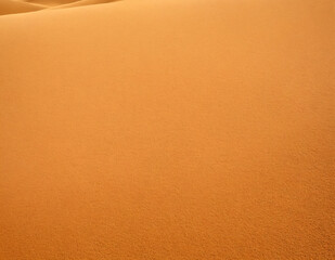 Arid wasteland - barren sandscape. - obrazy, fototapety, plakaty