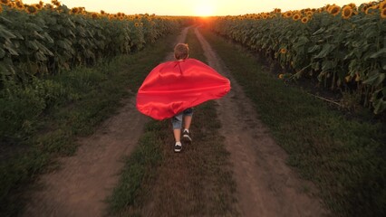 Male kid child in red cloak playing superhero flying on road sunflower field at sunset back view....
