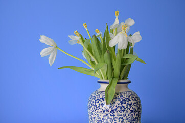 A vase of white flowers wilted and drooping, giving the impression sits on a blue background