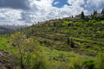 Fototapeta na wymiar A Landscape of the Judea Mountains and Jerusalem on a Winter Day
