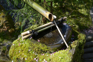 宝泉院　 庭園「宝楽園」の手水鉢　京都市左京区大原