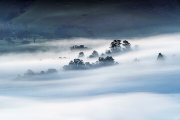 view of valley of fog, clouds, in landscape, with trees, mountains, hills
