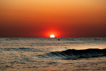 Sun setting on water with bird - 2