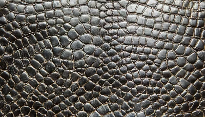 Poster black crocodile leather texture background ready used us backdrop or products design © Adrian