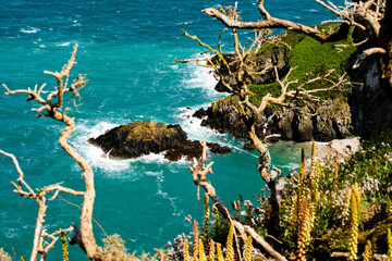 Rocky outcrop seen from cliff path on the north coast of Jersey, Channel Islands