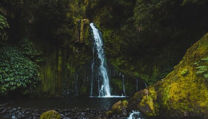 waterfall at parque natural da ribeira dos caldeiroes sao miguel azores portugal - obrazy, fototapety, plakaty