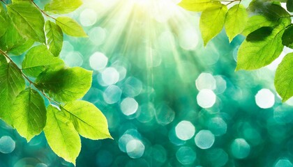 spring background abstract banner green turquoise blurred bokeh lights with sunbeams