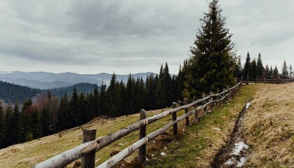 Fototapeta na wymiar wooden fence near the trees on the grassy hill mountainous rural landscape of ukraine in spring carpathian countryside on an overcast day