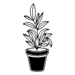 Potted plant line art. Leaves in pot black outline illustration.