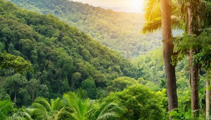 panorama banner background of tropical forest landscape scene for using in concept of environmental...