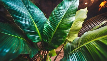 dark green tropical leaves colorful neon light backlight leaves composition plant background manstera palm leaves ai - obrazy, fototapety, plakaty