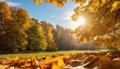 beautiful autumn landscape with yellow trees and sun colorful foliage in the park falling leaves...