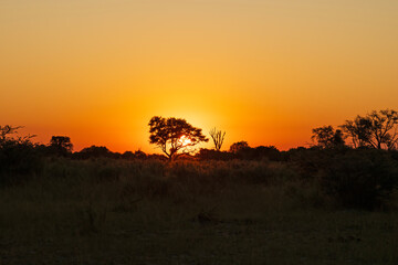 Sunset on the Okavango Delta
