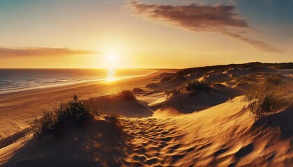 dune beach panorama at sunset