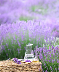 Amber essential lavender oil bottle. Violet lavendar field in Provence. - 783412750