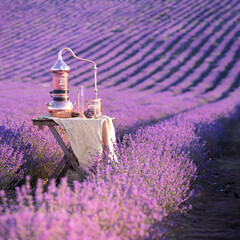 Distillation of lavender essential oil and hydrolate. Copper alambik for the flowering field. - 783413316