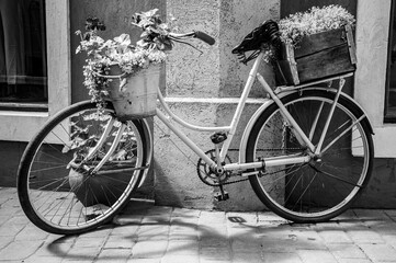 Vintage decorative bicycle decorated with flower pots on the city street. Black and white image.
