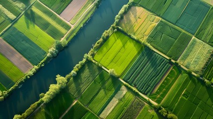 Banner of aerial satellite view of cultivated agricultural farming land fields with vivid green color as a typical European or countryside farmland village town with canal river
