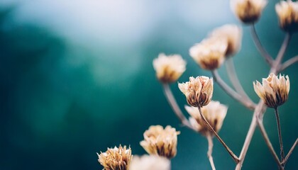 beautiful tiny dried romantic flowers and branches with blur cool tone background macro - obrazy, fototapety, plakaty