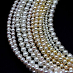 Expensive and luxurious Japanese saltwater Akoya pearls on strands of white, pink and golden organic gems ready to be made into necklaces and sold in jewelry store.