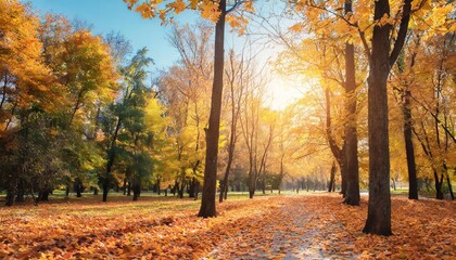 beautiful autumn landscape with yellow trees and sun colorful foliage in the park falling leaves...