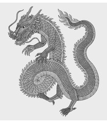 Japanese dragon vector vintage engraving drawing style illustration
