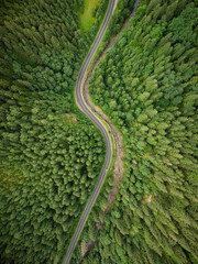 aerial view of a coniferous forest through which a winding road passes in the mountains
