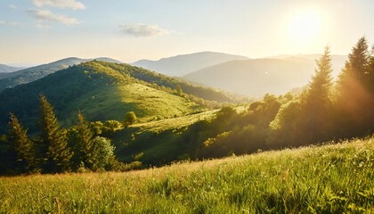 carpathian countryside scenery with grassy meadows and forested hills in evening light mountainous rural landscape of transcarpathia ukraine in spring - obrazy, fototapety, plakaty
