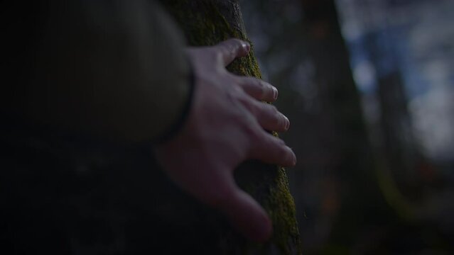 A closeup of a hand touching a twig on a tree branch