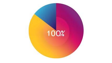 100% pie chart