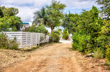 Tortola, British Virgin Islands - March 27, 2024: Views along a hiking path behind the Bight on Norman Island
