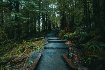 Staircase at Sol Duc Falls Trail in Olympic National Park, Washington, USA - obrazy, fototapety, plakaty