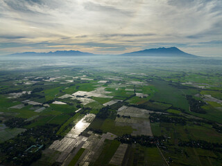 Farmland and rice fields during sunrise. Negros, Philippines