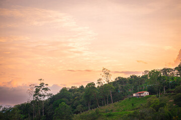 Hilly green landscape of farm with house with some trees at sunset