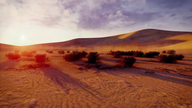 Desolate sandy desert landscape with dry bushes and massive sand dunes under dramatic cloudy sky at sunset. With no people natural background 3D animation rendered in 4K