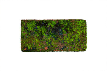 Mossy red bricks on an isolated white background